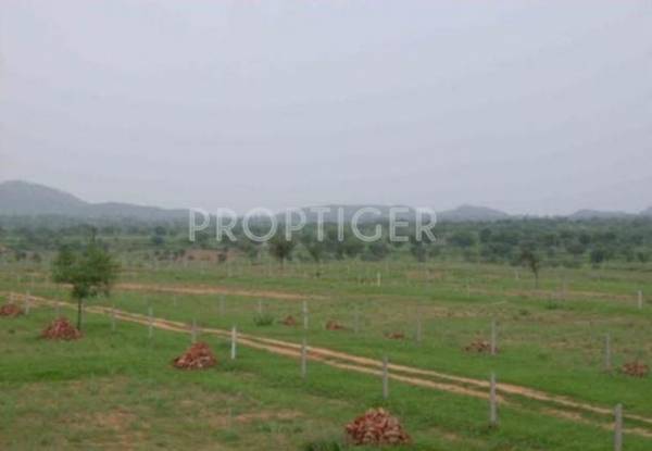 Images for Elevation of Smilee Nisarga Images for Elevation of Smilee Nisarga