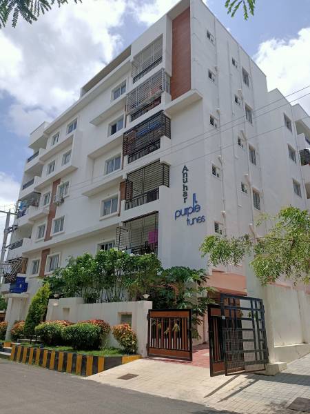  purple-tunes Elevation