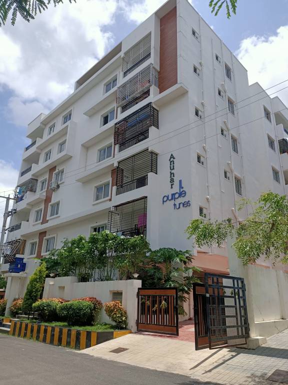  purple tunes Elevation