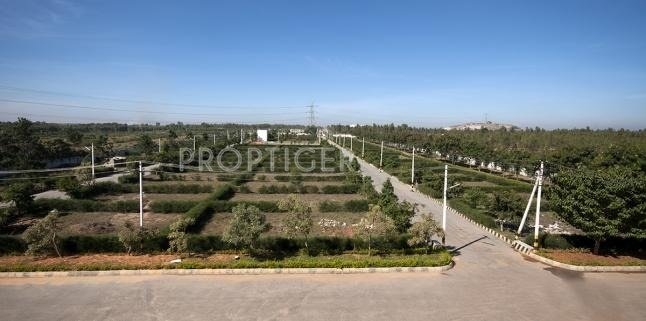 Images for Elevation of Ferns North Star