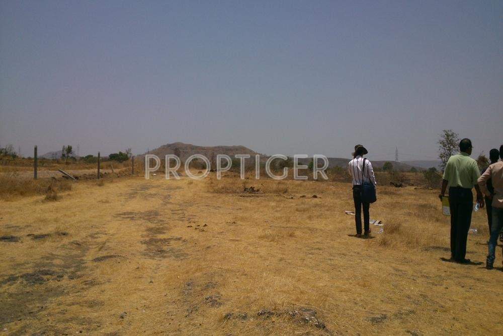 Shree Radhe Associates Platinum City