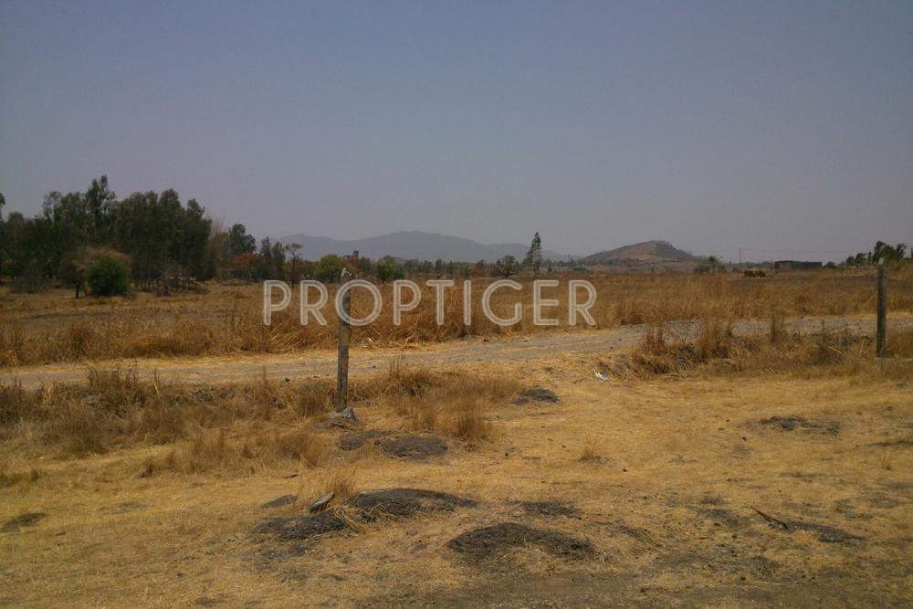 Shree Radhe Associates Platinum City