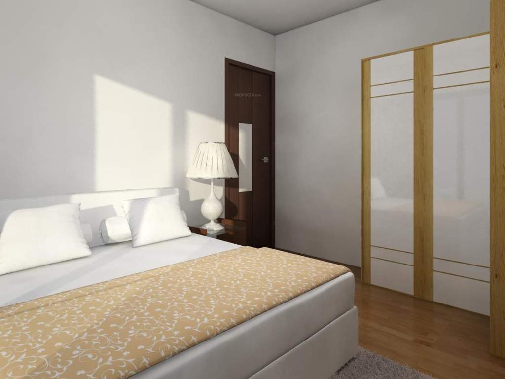  estrela Images for Main Other of Alcon Estrela