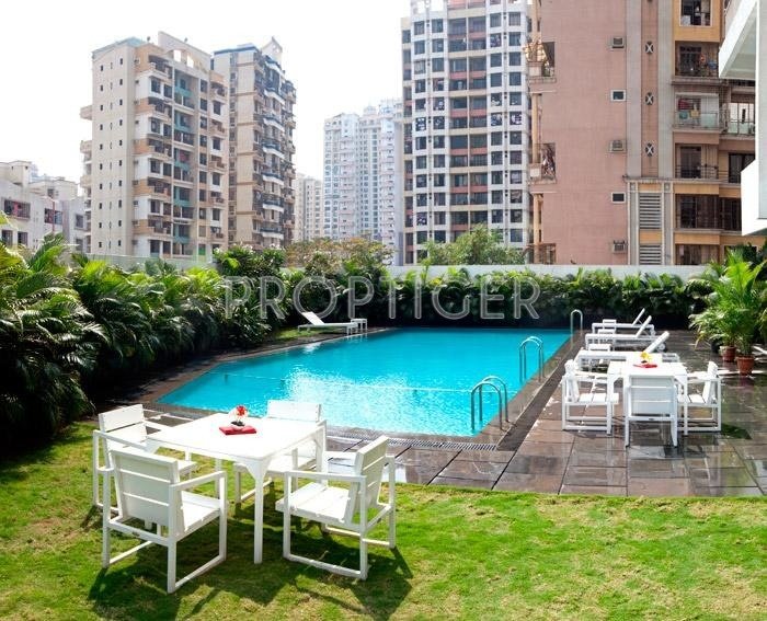  highness Images for Elevation of Progressive Highness