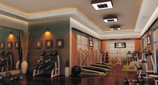  whispering-willow Gymnasium