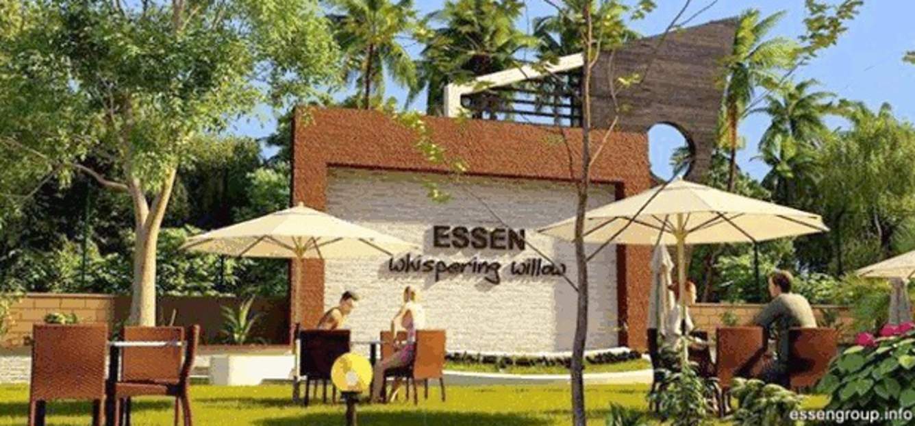  whispering willow Images for Amenities of Essen Whispering Willow