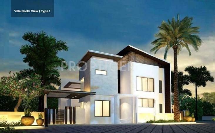  ananta Images for Elevation of Amara Ananta