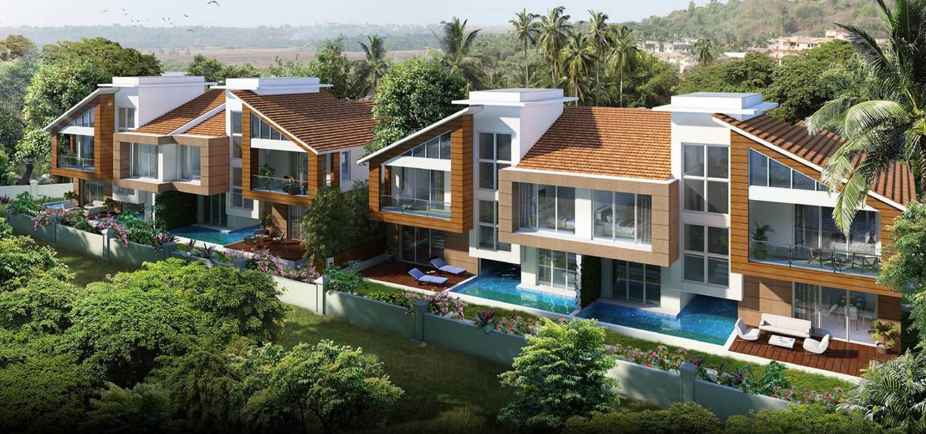 Images for Elevation of Rainforest Boulevard