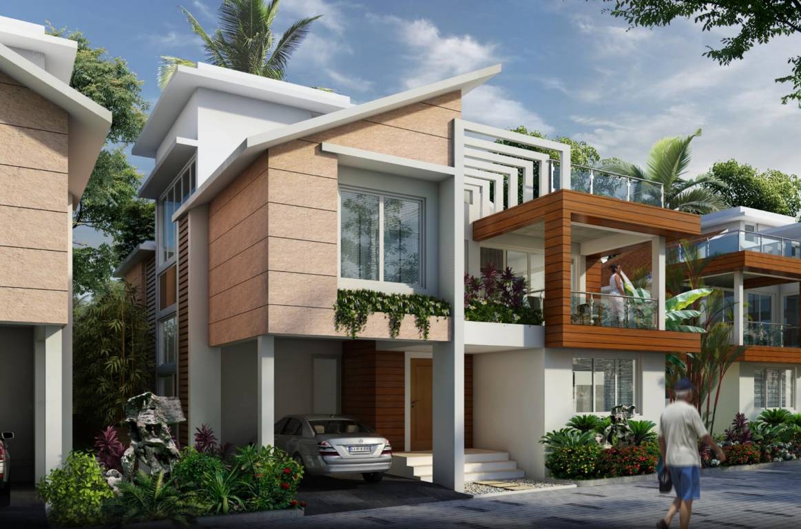 Images for Elevation of Rainforest Boulevard