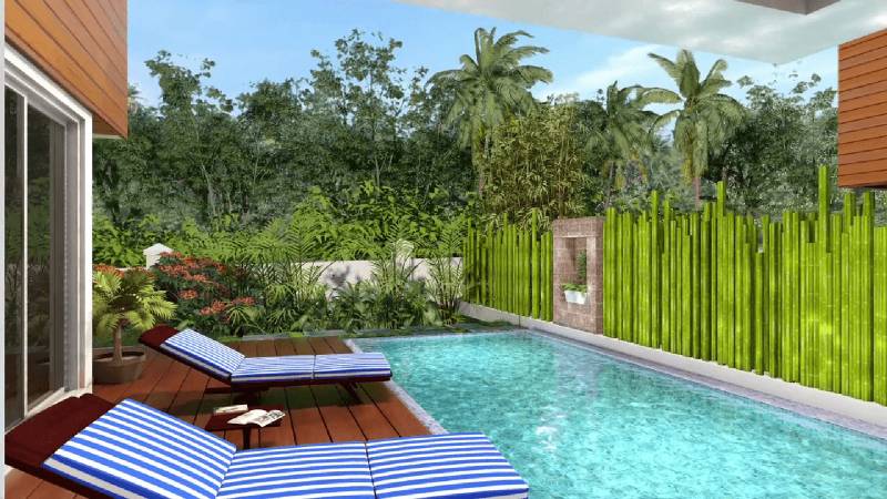 Images for Amenities of Rainforest Boulevard