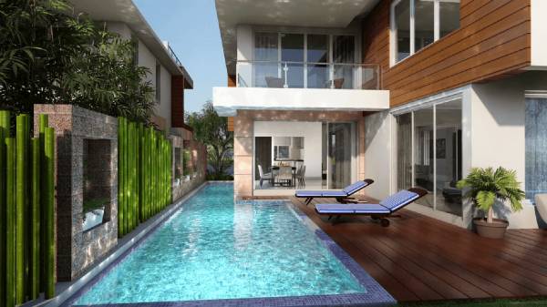 Images for Amenities of Rainforest Boulevard