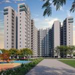 Elevation edge Elevation