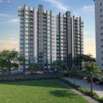 Elevation edge Elevation