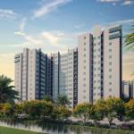 Elevation edge Elevation