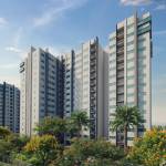 Elevation edge Elevation