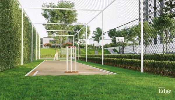  edge Cricket Pitch