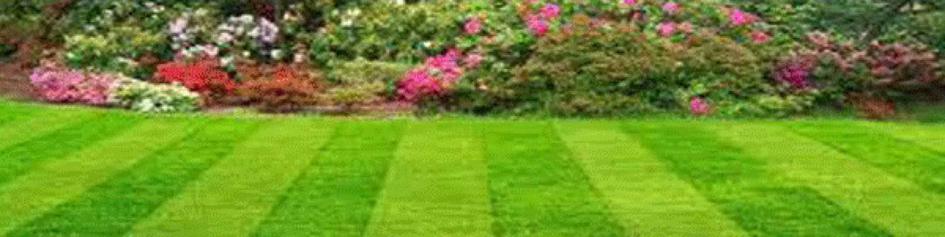 Images for Amenities of SR Anand Residency