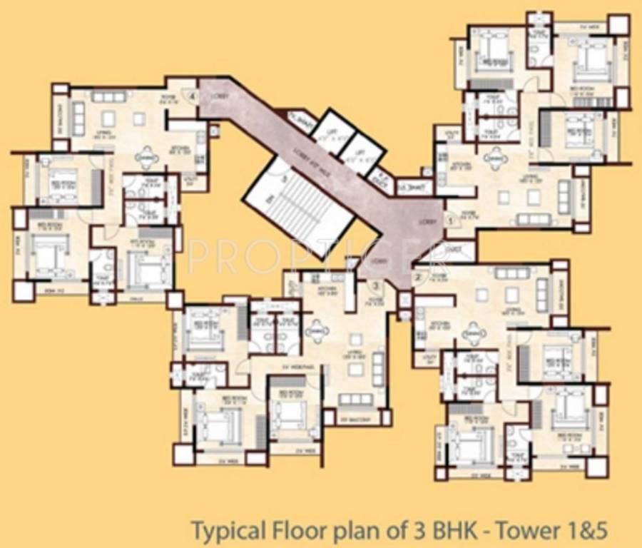 Images for Cluster Plan of GM Daffodils