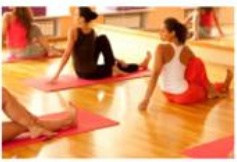 Others sai-matha-garden Others