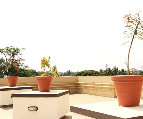  acrospire Landscaped Gardens