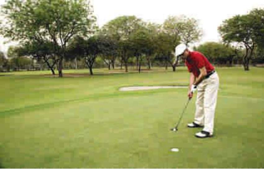  pinewood villa Others