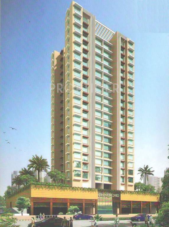  orchid Images for Elevation of DLH Orchid