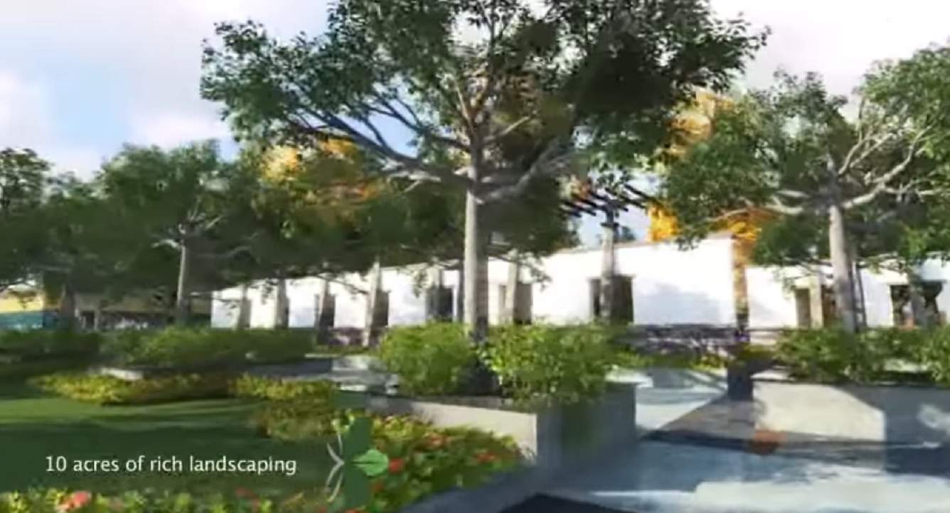  discovery city Landscaped Gardens