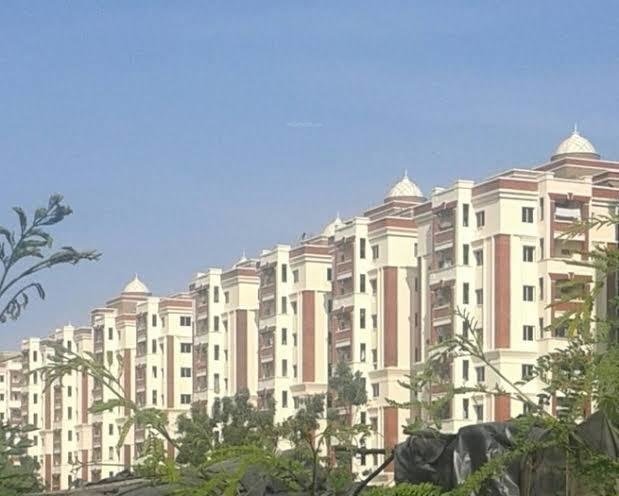  silicon county Elevation