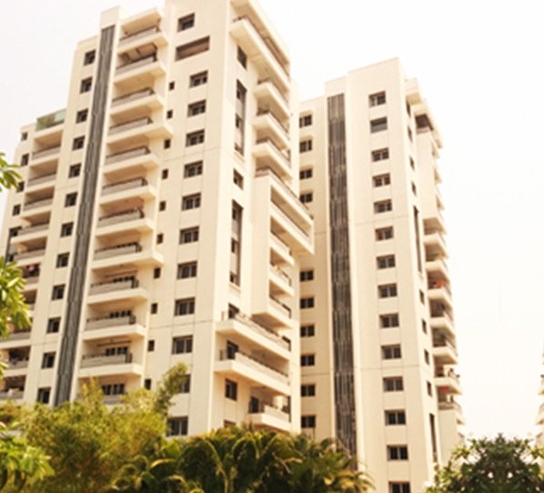  silicon county Elevation