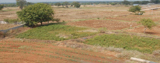 gachibowli county phase 1 Elevation