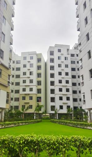  sanhita Landscape Garden and Tree Planting