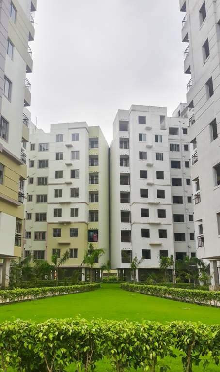 sanhita Landscape Garden and Tree Planting