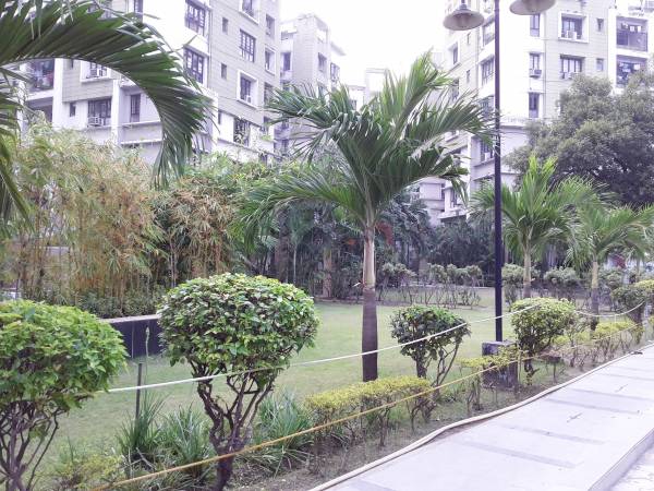 Others oxford-i Others