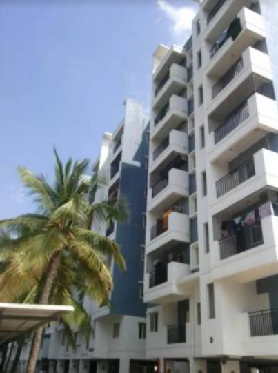 woodlands high Elevation