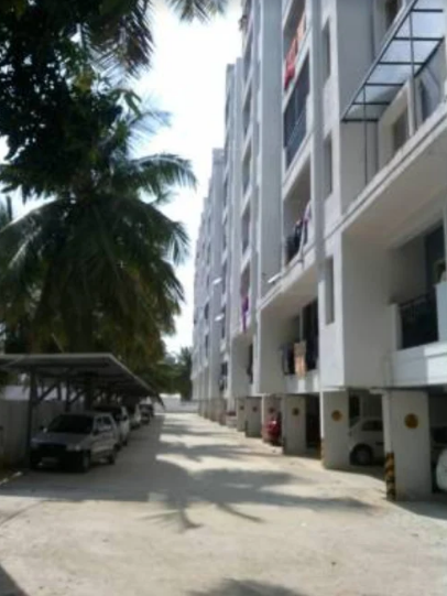 woodlands high Elevation