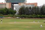  world-city Cricket Pitch