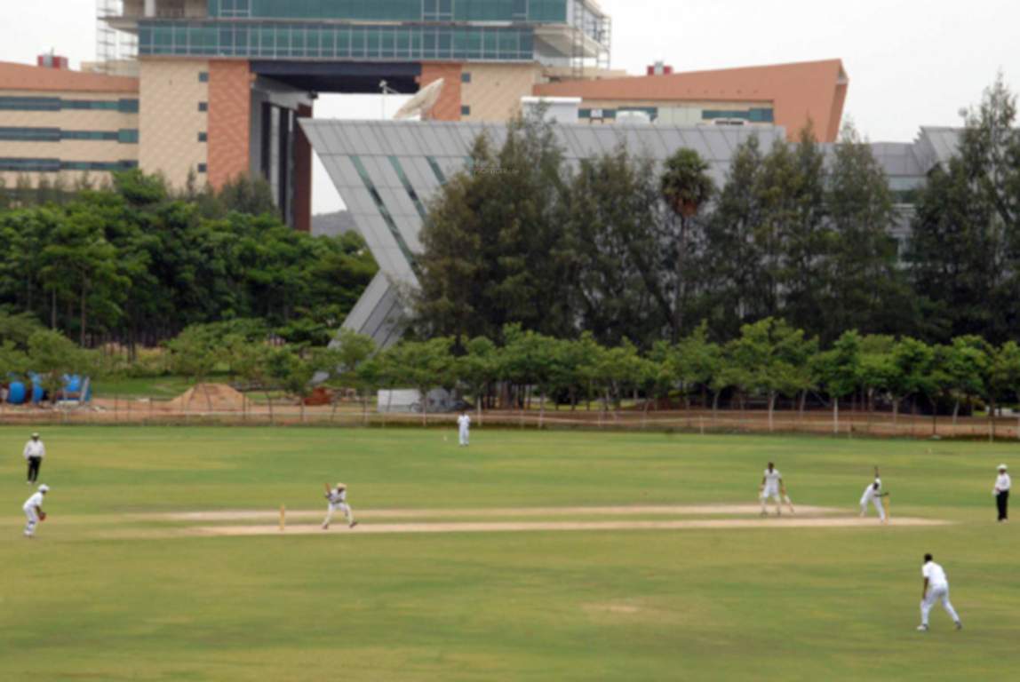 world city Cricket Pitch