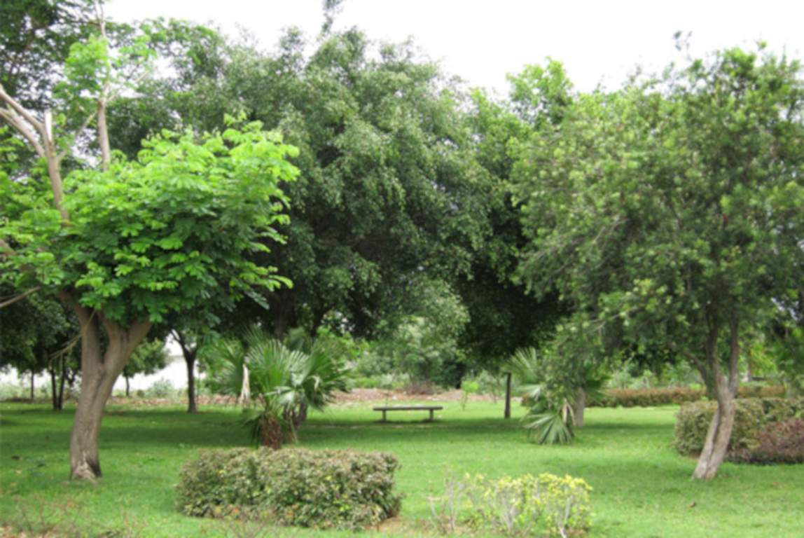 world city Landscaped Gardens