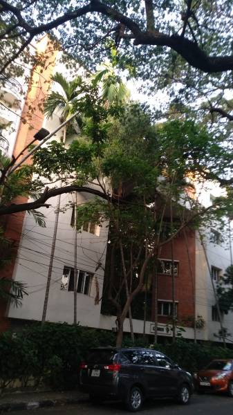  apartments Elevation