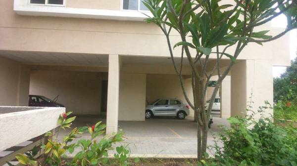  bounty-2 Car Parking