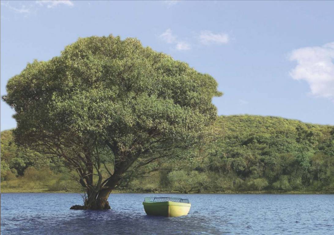  kul ecoloch phase 1 Others