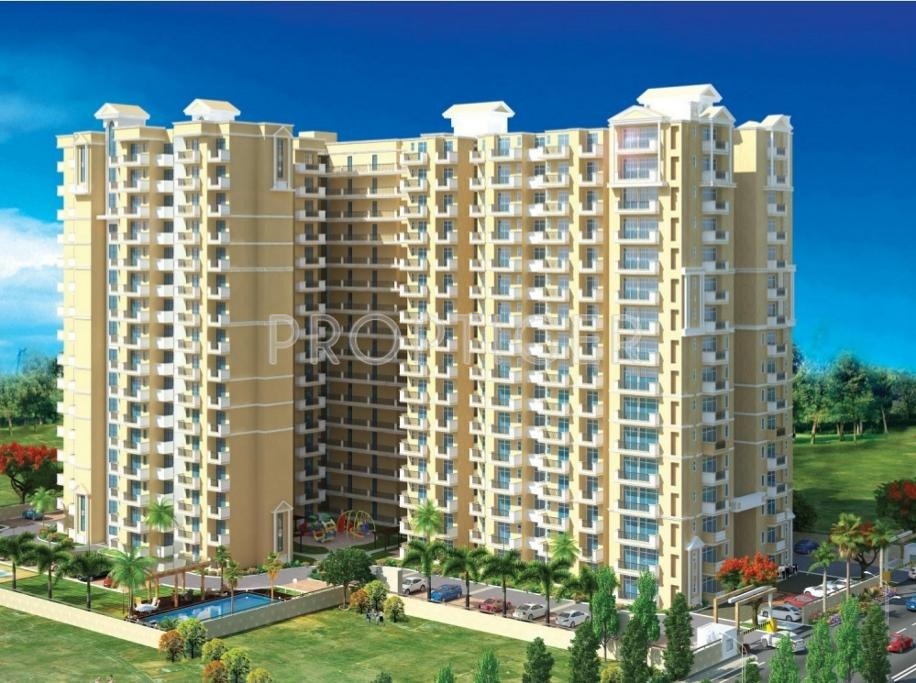 Images for Elevation of MR Platinum 321