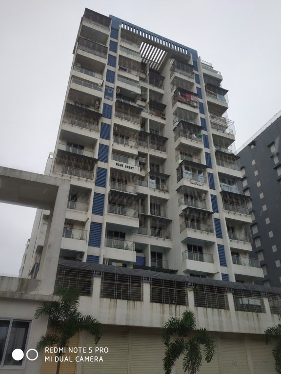  blue crest Elevation