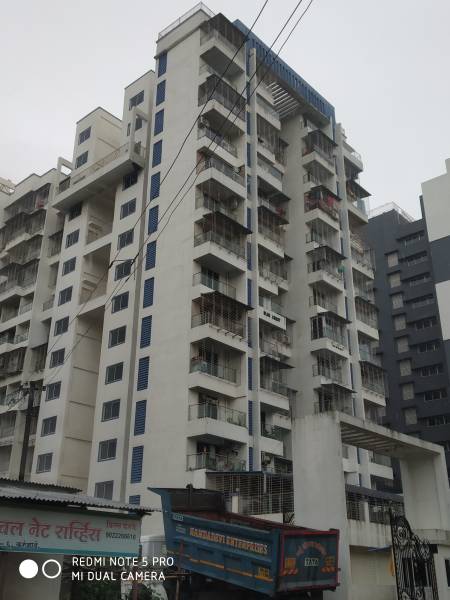 Elevation blue-crest Elevation