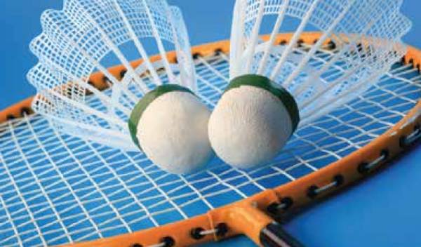  paradise Badminton Court