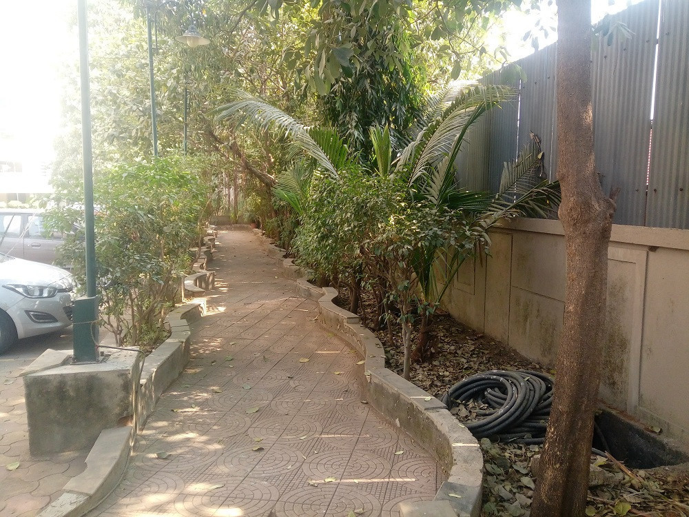 complex Jogging Track