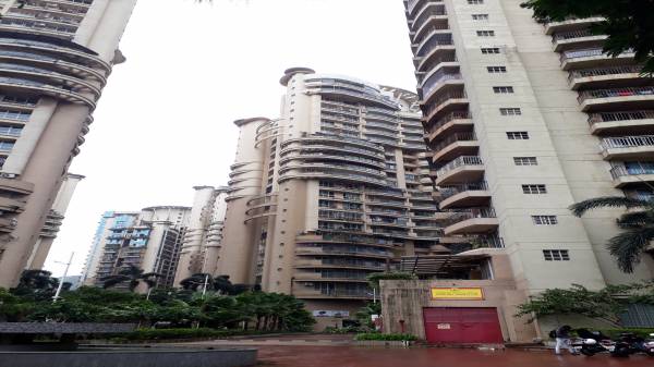  mimosa-and-mirabilis Elevation