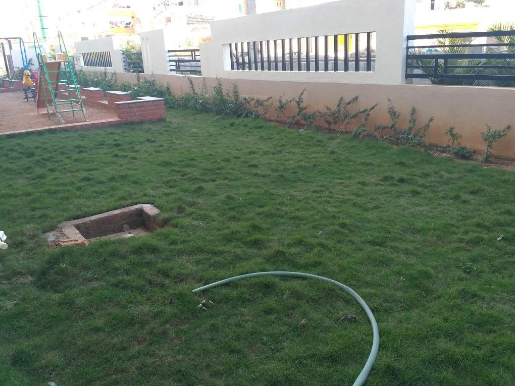 elegance Landscape Garden and Tree Planting