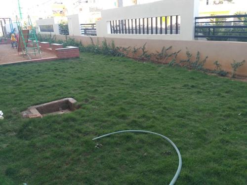 Landscape Garden and Tree Planting elegance Landscape Garden and Tree Planting