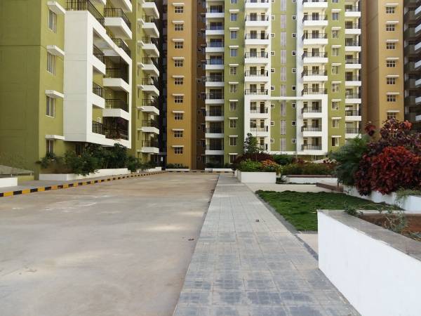  platinum Internal Roads & Footpaths